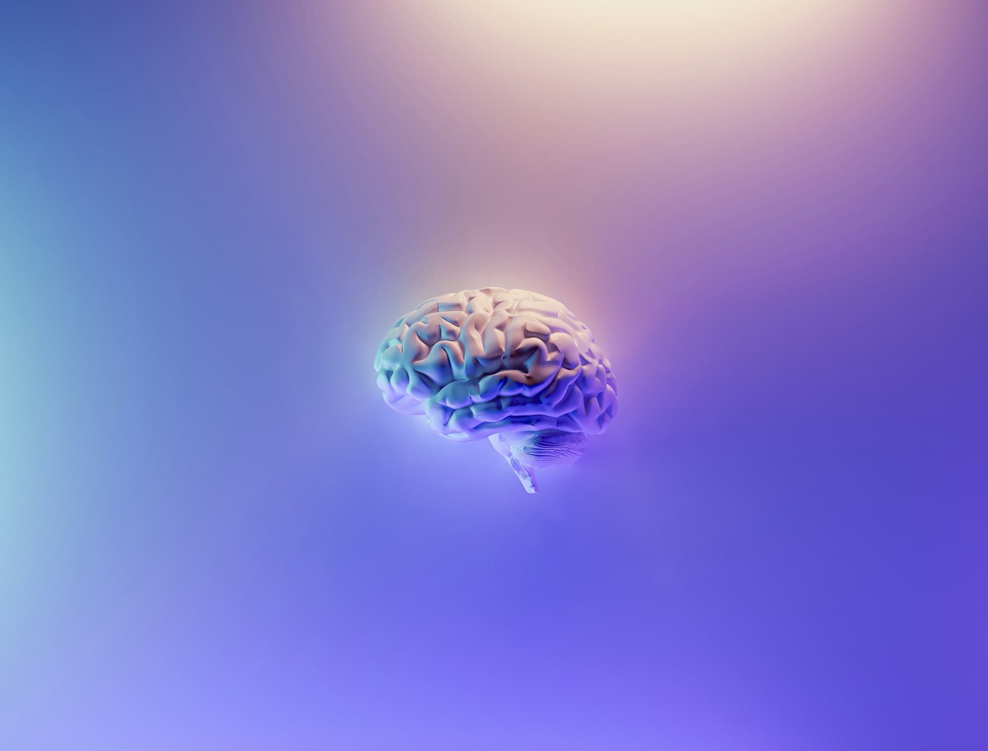 Neuralink Brain Chip First Human Trial